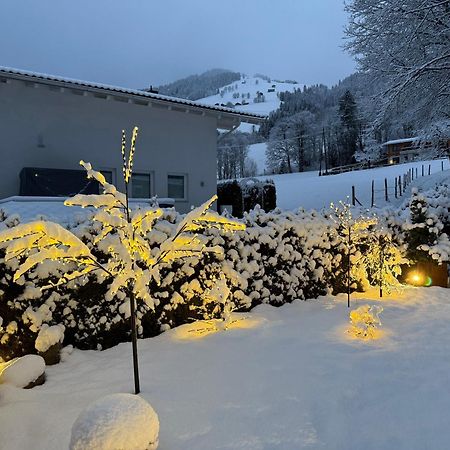 Alpine Lodge Brixen 布利克森塔勒 外观 照片