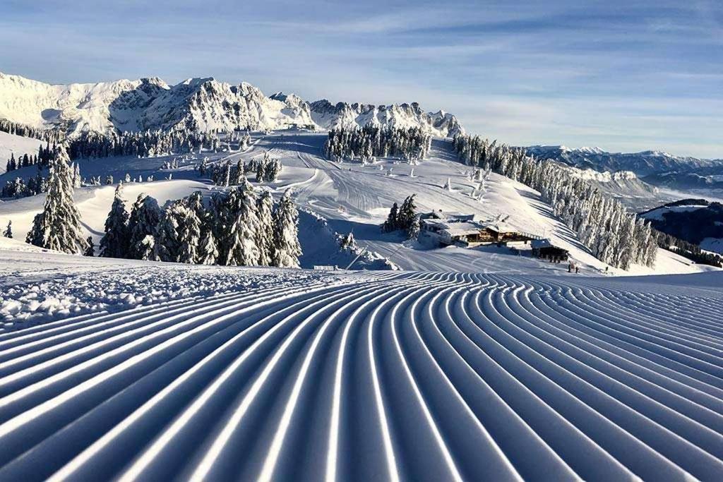 Alpine Lodge Brixen 布利克森塔勒 外观 照片