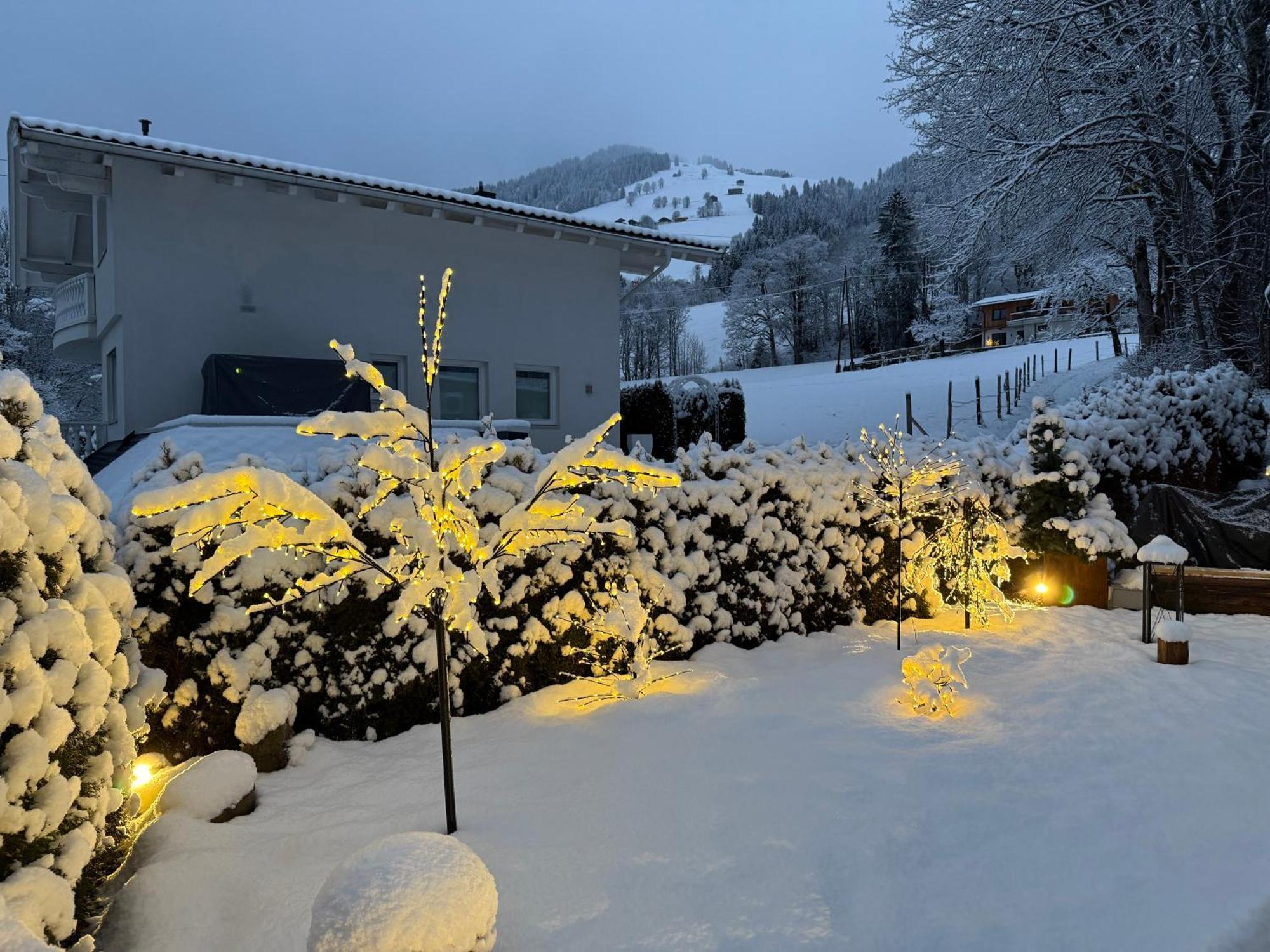 Alpine Lodge Brixen 布利克森塔勒 外观 照片